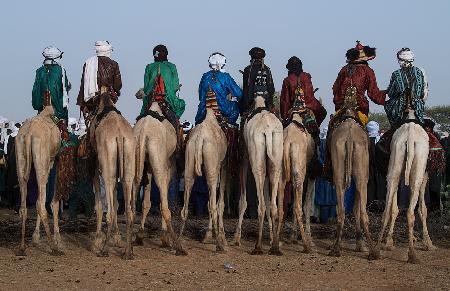 Beobachten Sie das Gerewol-Fest von den Kamelen aus – Niger