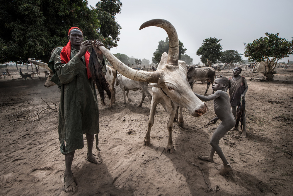 Eine Szene eines Mundari-Lagers I – Südsudan von Joxe Inazio Kuesta Garmendia