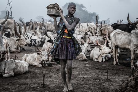 Frau trägt Mist in einem Rinderlager in Mundari – Südsudan