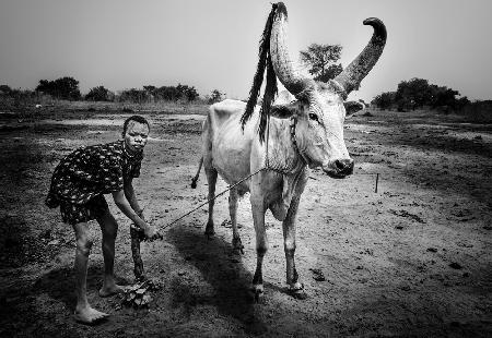 In einem Mundari-Rinderlager-I – Südsudan
