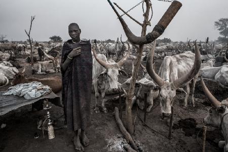 In einem Mundari-Rinderlager III – Südsudan