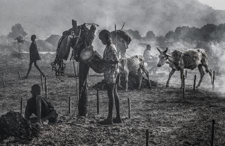 In einem Mundari-Rinderlager-IX – Südsudan
