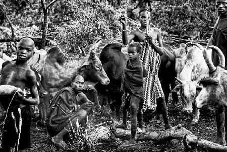 Menschen des Surma-Stammes kümmern sich um das Vieh.