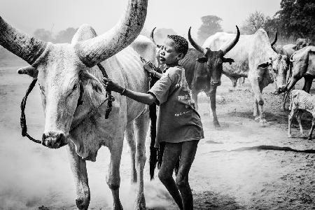 Rinderlager Mundari – Südsudan