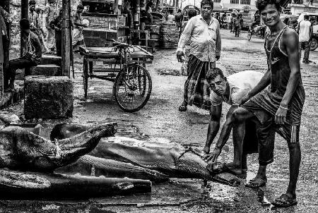 Verkaufsargument für Haie auf einem Markt in Bangladesch