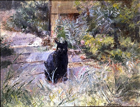 Fat Mog in the Garden (oil on canvas)  von Joyce  Haddon