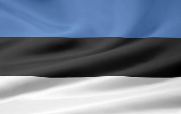 Estnische Flagge von Juergen Priewe