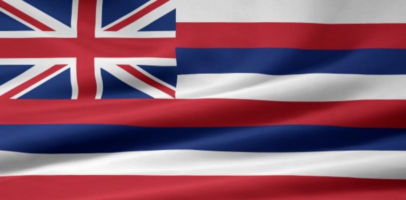Hawaii Flagge von Juergen Priewe