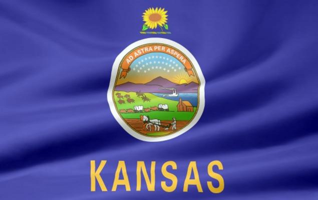 Kansas Flagge von Juergen Priewe