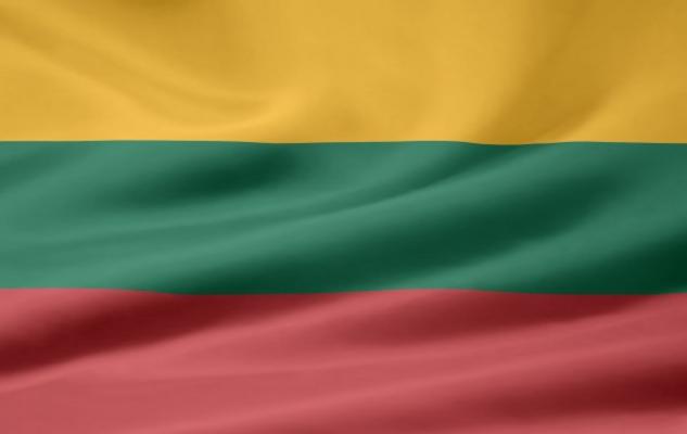 Litauische Flagge von Juergen Priewe
