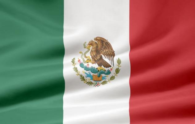 Mexikanische Flagge von Juergen Priewe