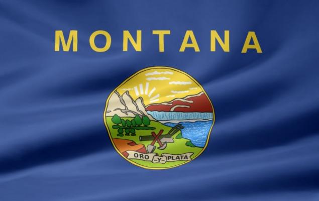 Montana Flagge von Juergen Priewe