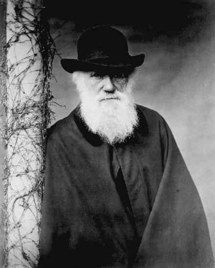 Portrait of Charles Darwin (1809-82) 1881 (b/w photo) 