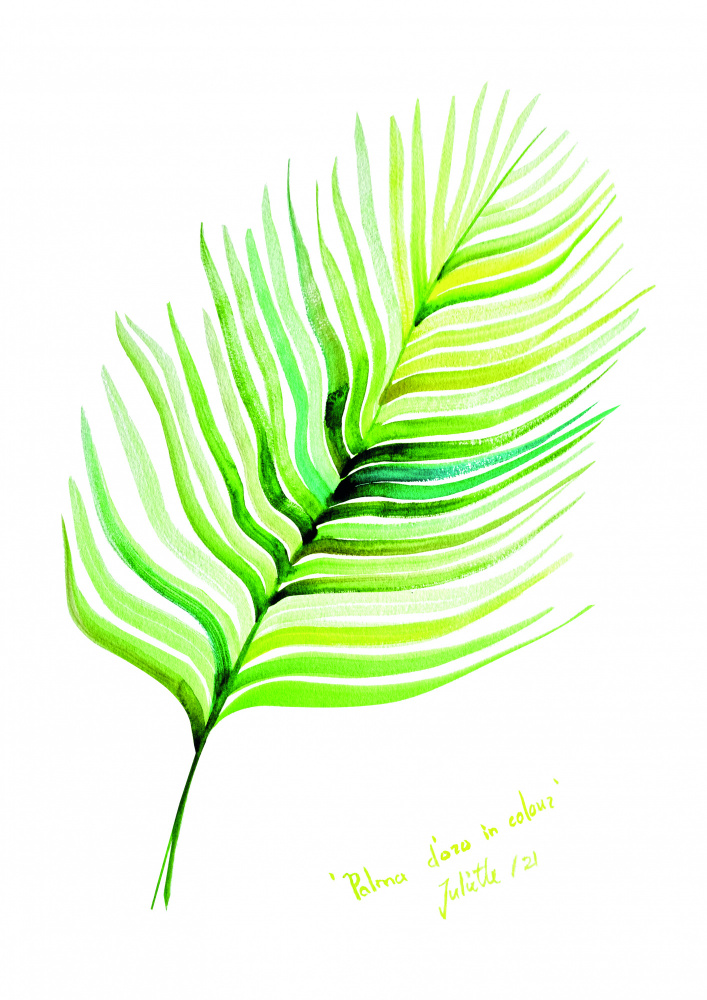 Palma doro in Farbe von Julija Belickienė