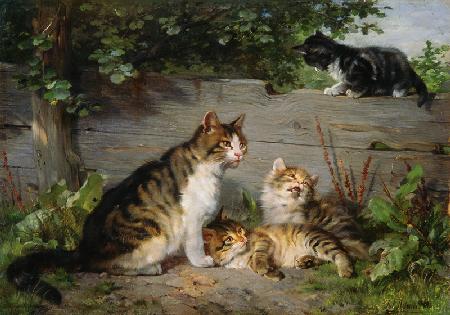 Katzenmutter mit drei Jungen