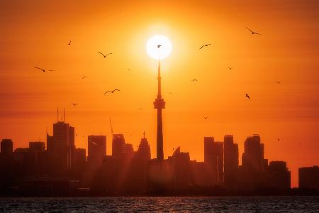 Die Sonne geht hinter Toronto auf