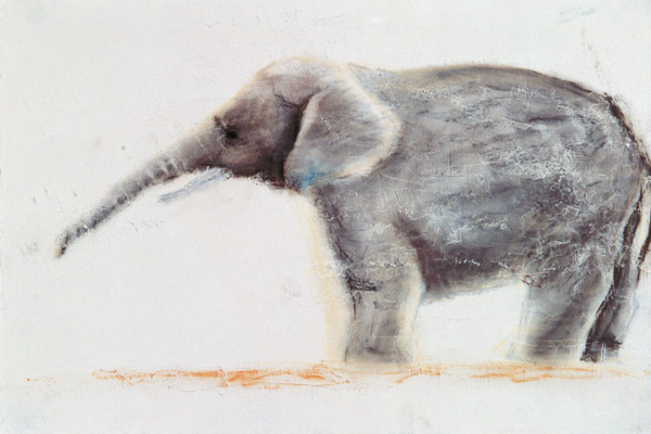Elephant (pastel on paper)  von Jung Sook  Nam