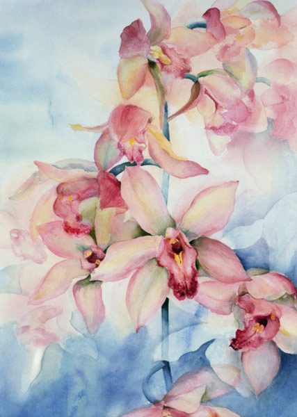 Orchid Cymbidium Ramley  von Karen  Armitage