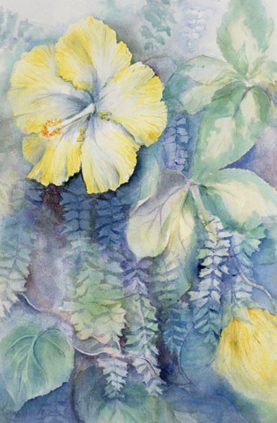 Hibiscus, yellow  von Karen  Armitage