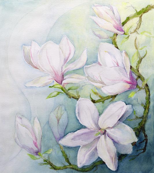 Magnolias von Karen  Armitage