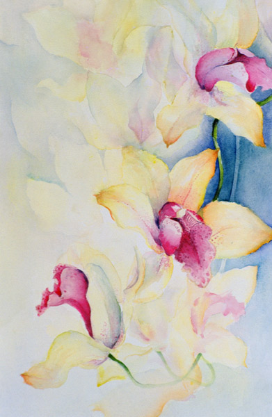 Orchid, Cymbidium, Prince Charles  von Karen  Armitage