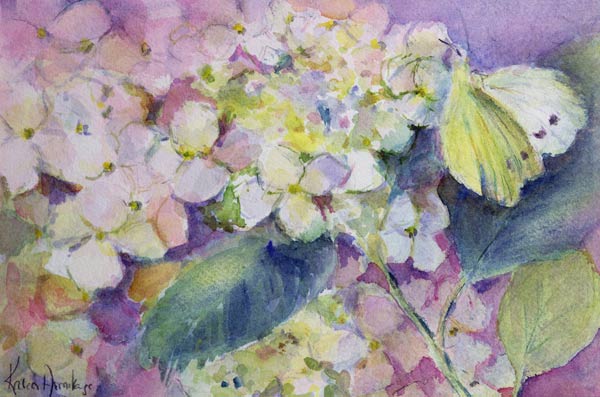 Pale Clouded Yellow Butterfly, Colias Hyale on Hydrangea  von Karen  Armitage