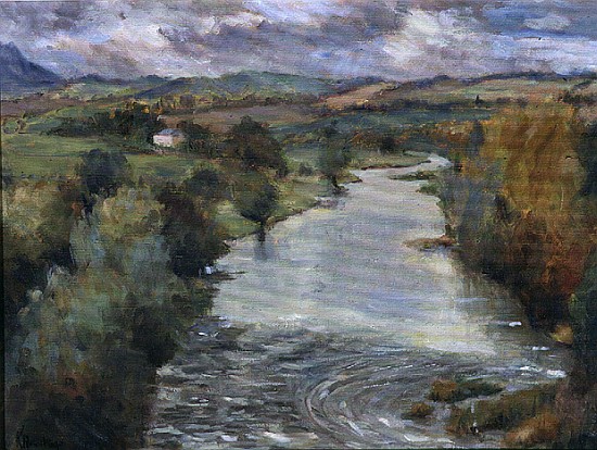 The River Tweed, Roxburghshire, 1995  von Karen  Armitage