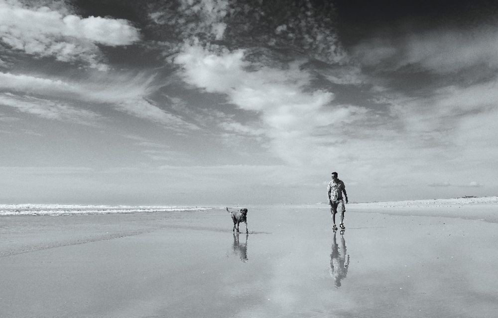 Das Leben ist ein Strand von Karen Van Eyken