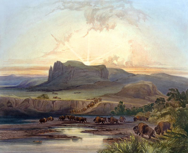 Herd of Bison on the Upper Missouri, plate 40 from Volume 2 of 'Travels in the Interior of North Ame von Karl Bodmer