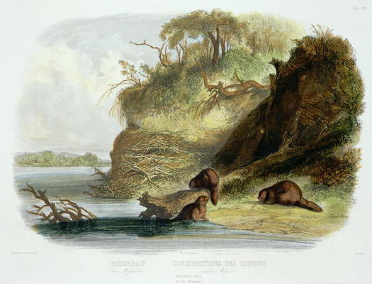Beaver Hut on the Missouri, plate 17 from volume 1 of `Travels in the Interior of North America', en von Karl Bodmer