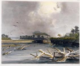 Snags (sunken trees) on the Missouri, plate 6 from Volume 2 of 'Travels in the Interior of North Ame 18th