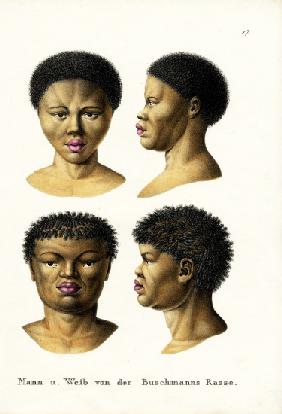 Bushmen 1824