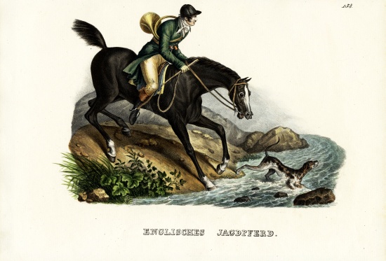 English Hunter Horse von Karl Joseph Brodtmann
