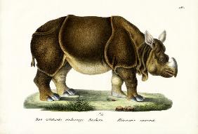Greater Indian Rhinoceros 1824