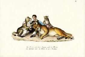 Lioness With Cubs 1824