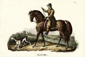 Spanish Hunter Horse 1824
