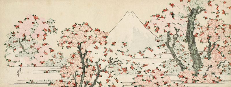 Der Berg Fuji hinter blühenden Kirschbäumen von Katsushika Hokusai