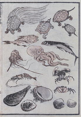 Undersea creatures, from a Manga (colour woodblock print) von Katsushika Hokusai