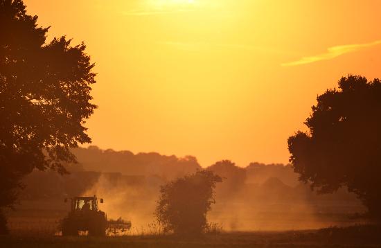 Traktor im Sonnenuntergang von Kay Nietfeld