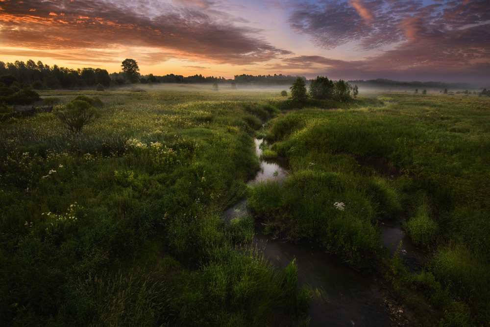 Morning on Kes'ma River von Kirill Volkov