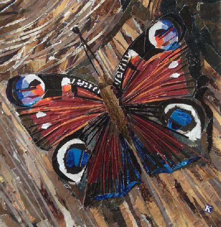 Awaken Peacock Butterfly On Woodpile 2016