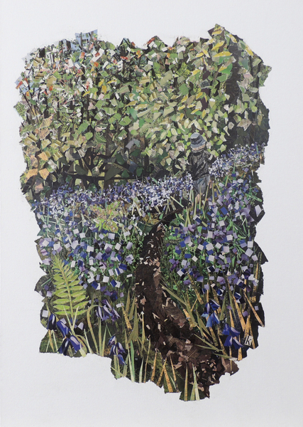 Bluebell Wood von Kirstie Adamson