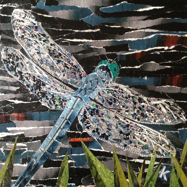 Dart - Emperor Dragonfly At Riverside von Kirstie Adamson