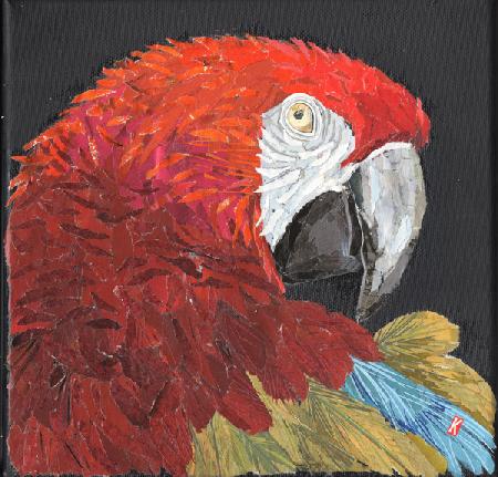 Red Macaw Parrot 2018