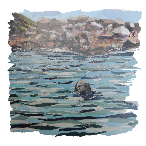 Seal Island von Kirstie Adamson