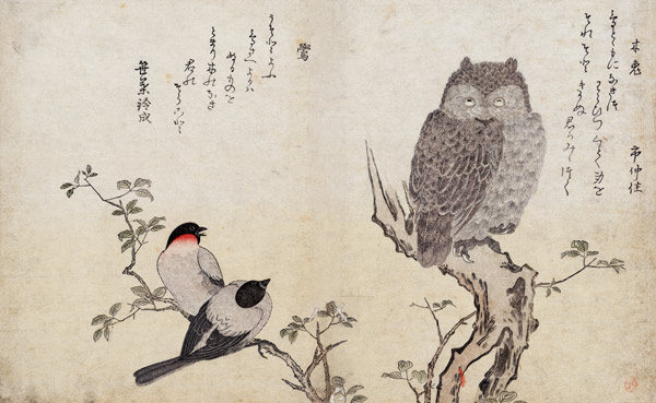 An Owl and two Eastern Bullfinches, from an album 'Birds compared in Humorous Songs, Contest of Poet von Kitagawa  Utamaro