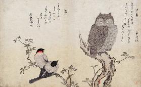 An Owl and two Eastern Bullfinches, from an album 'Birds compared in Humorous Songs, Contest of Poet 19th