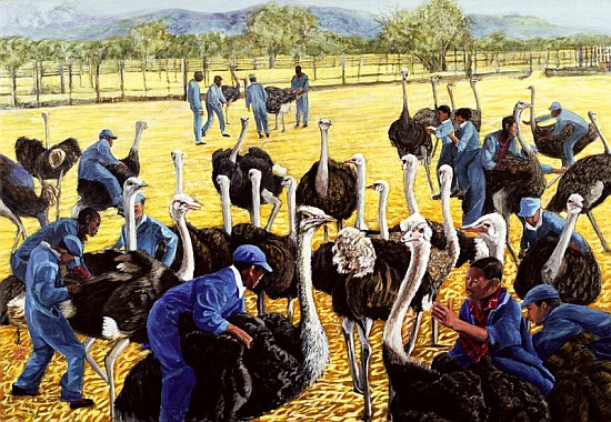 Ostrich Farm, 1988 (gouache on rice paper)  von Komi  Chen