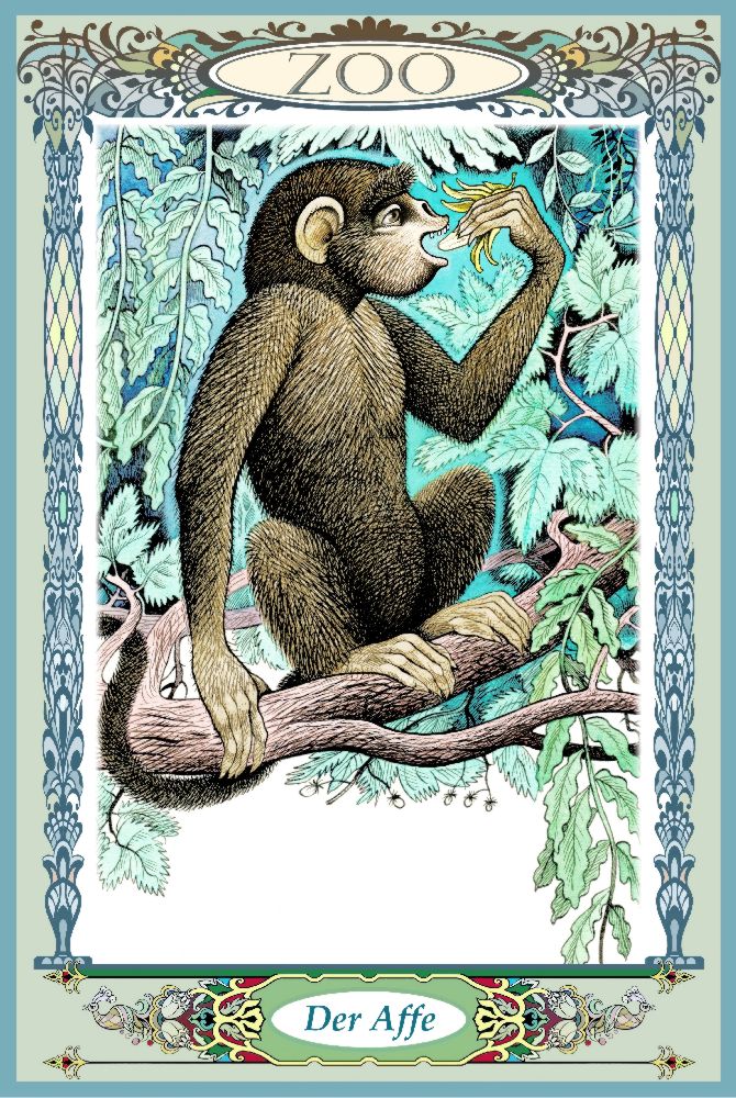 Der Affe von Konstantin Avdeev