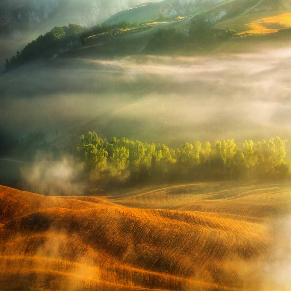 Mist... von Krzysztof Browko